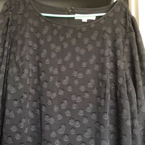 Loft lace black dress